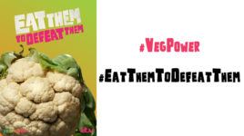 VegPower Cauliflower